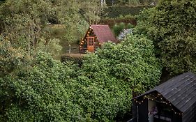 Chalets en Santa Elena en medio del Bosque